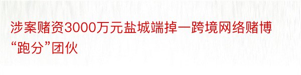 涉案赌资3000万元盐城端掉一跨境网络赌博“跑分”团伙