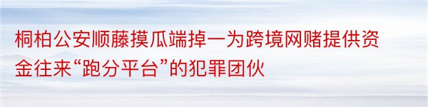 桐柏公安顺藤摸瓜端掉一为跨境网赌提供资金往来“跑分平台”的犯罪团伙