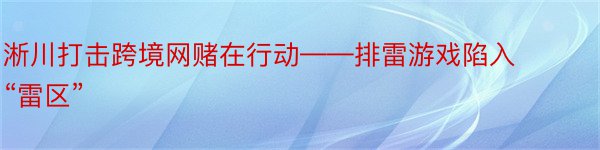 淅川打击跨境网赌在行动——排雷游戏陷入“雷区”