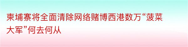 柬埔寨将全面清除网络赌博西港数万“菠菜大军”何去何从