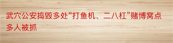 武穴公安捣毁多处“打鱼机、二八杠”赌博窝点多人被抓