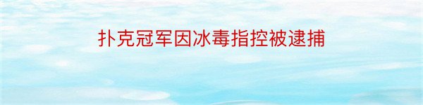 扑克冠军因冰毒指控被逮捕