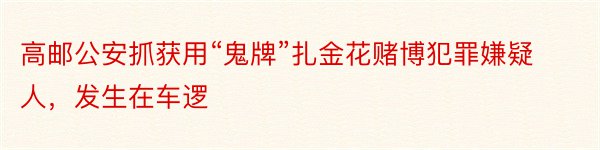 高邮公安抓获用“鬼牌”扎金花赌博犯罪嫌疑人，发生在车逻